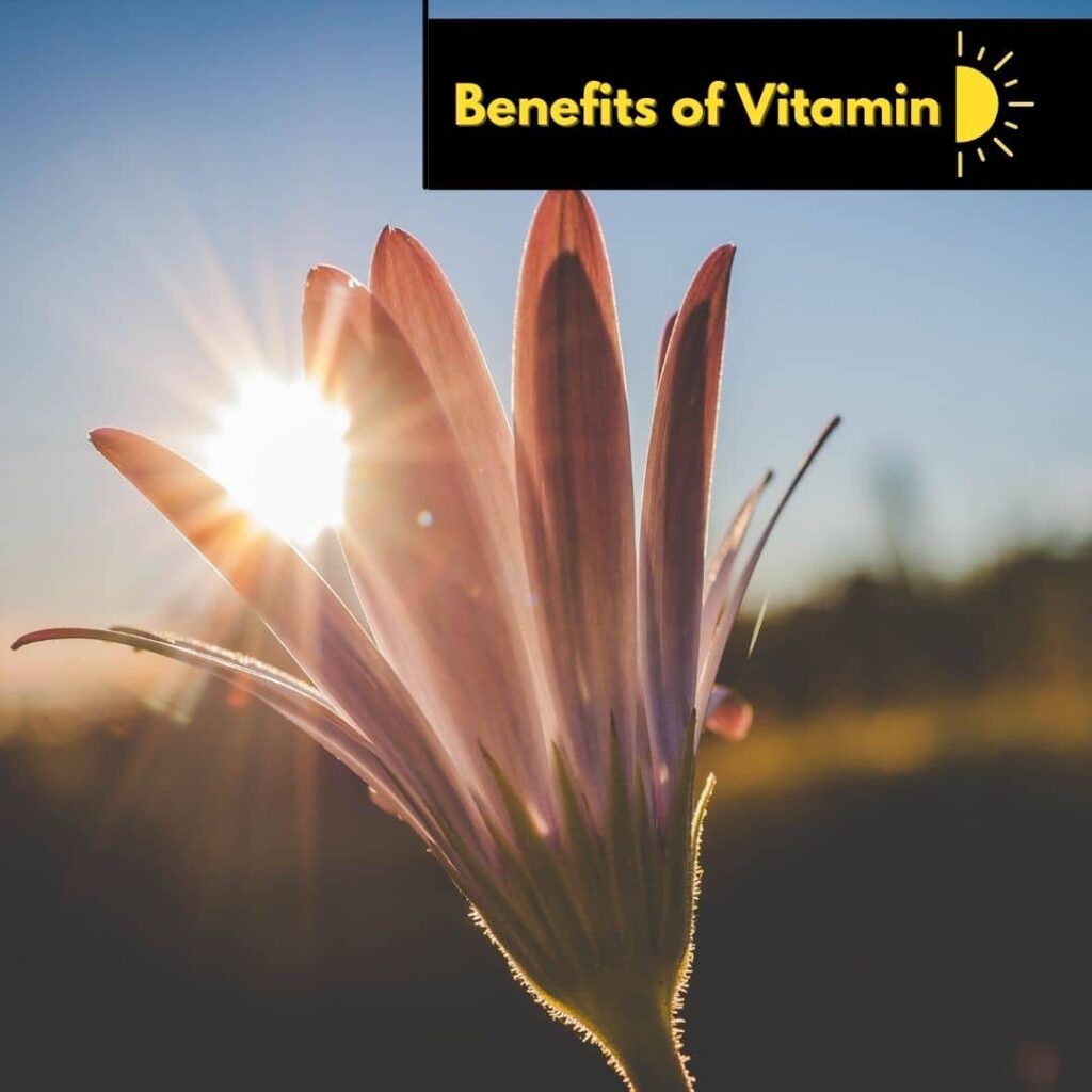 vitamin-D-benefits